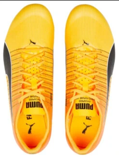 PUMA Unisex EvoSPEED Tokyo Brush 4 Track Spike 10 PUMA Unisex EvoSPEED Tokyo Brush 4 Track Spike -Sneaker Store PumaUnisexevoSPEEDTokyoBrush4 5